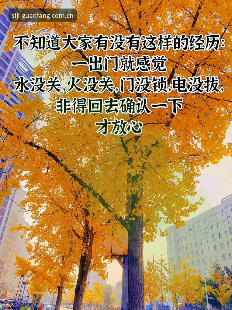 揭秘四季官方正版推荐：老用户才知道的这些事，你不知道的官方平台真相
